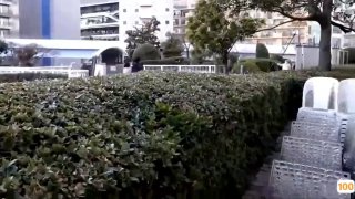 东航空姐做小三 视频被原配报复流出“你老婆有我骚吗 操死我好不
